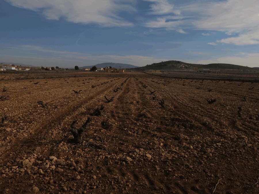 Teren niezagospodarowany na sprzedaż w Jumilla - 69 000 € (Ref: 3317008)