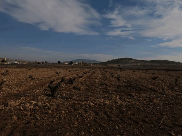 Grond te koop in Jumilla - € 69.000 (Ref: 3317008)