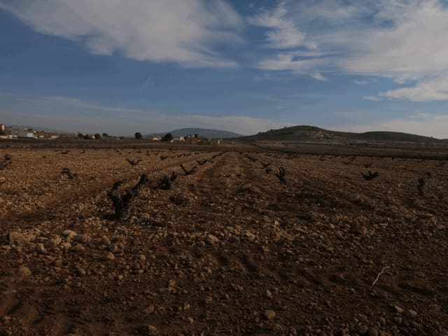 Grond te koop in Jumilla - € 69.000 (Ref: 3317008)