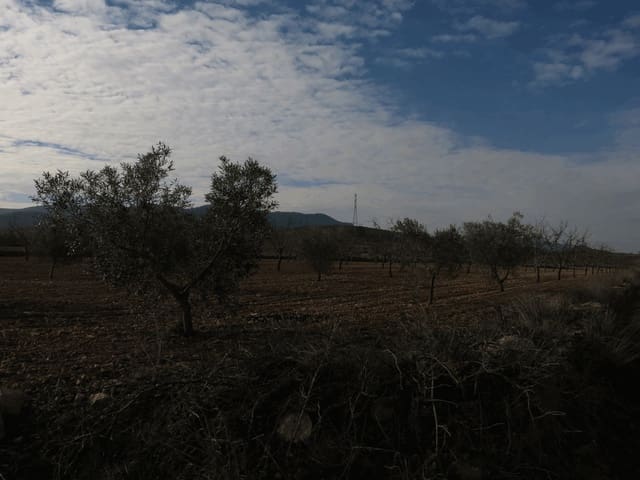 Grond te koop in Jumilla - € 69.000 (Ref: 3317008)