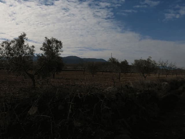 Grond te koop in Jumilla - € 69.000 (Ref: 3317008)