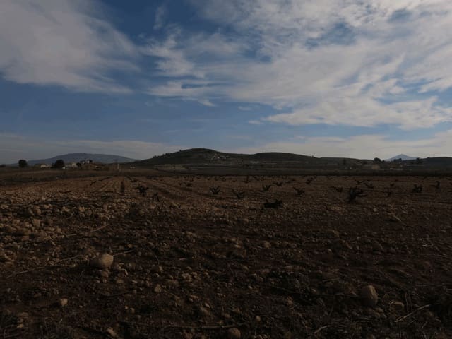 Grond te koop in Jumilla - € 69.000 (Ref: 3317008)