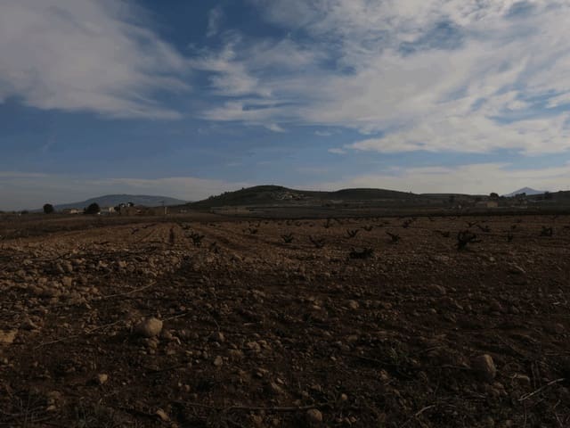 Grond te koop in Jumilla - € 69.000 (Ref: 3317008)