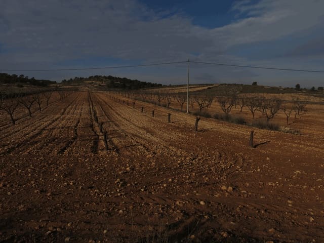 Grond te koop in Jumilla - € 30.000 (Ref: 3317010)