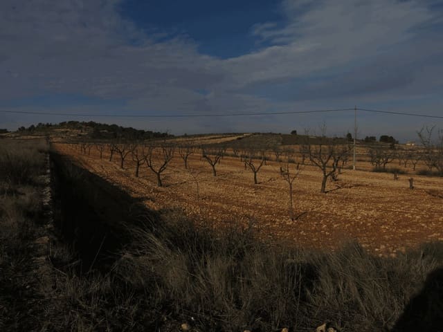 Grond te koop in Jumilla - € 30.000 (Ref: 3317010)