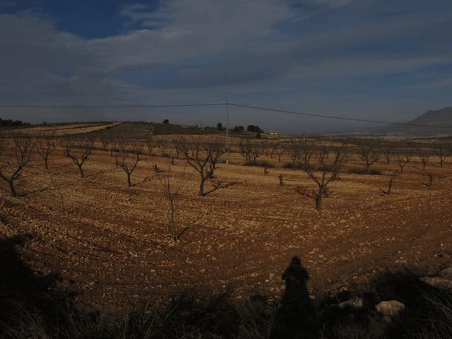 Grond te koop in Jumilla - € 30.000 (Ref: 3317010)