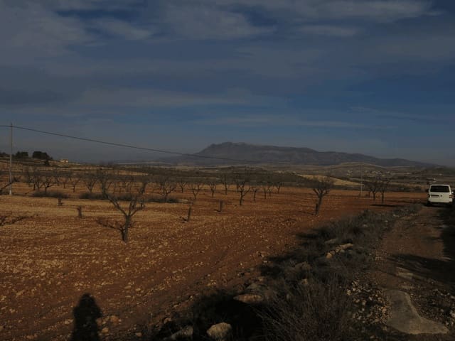 Grond te koop in Jumilla - € 30.000 (Ref: 3317010)