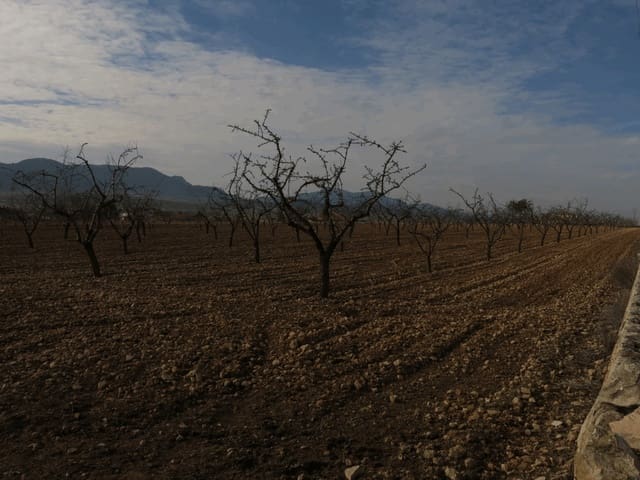 Undeveloped Land for sale in Jumilla - € 23,000 (Ref: 3319334)
