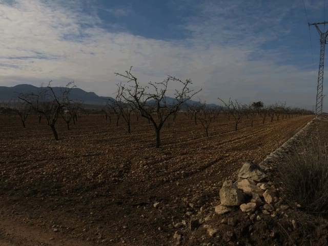 Undeveloped Land for sale in Jumilla - € 23,000 (Ref: 3319334)