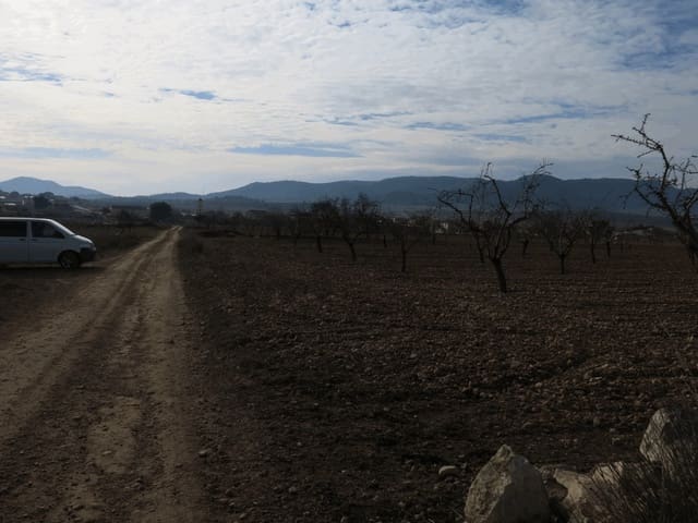 Undeveloped Land for sale in Jumilla - € 23,000 (Ref: 3319334)