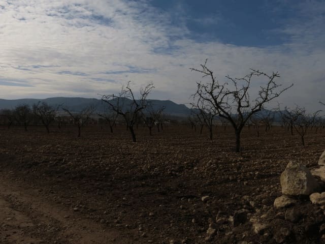 Undeveloped Land for sale in Jumilla - € 23,000 (Ref: 3319334)