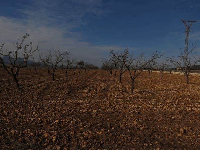 Undeveloped Land for sale in Jumilla - € 23,000 (Ref: 3319334)