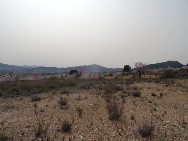 Undeveloped Land for sale in Salinas - € 19,950 (Ref: 3360432)
