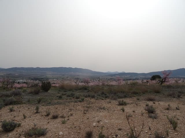 Undeveloped Land for sale in Salinas - € 19,950 (Ref: 3360432)