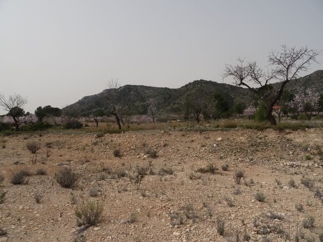 Undeveloped Land for sale in Salinas - € 19,950 (Ref: 3360432)