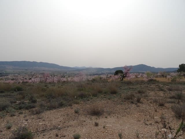 Undeveloped Land for sale in Salinas - € 19,950 (Ref: 3360432)