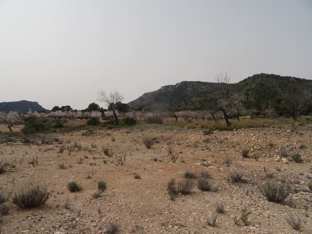 Undeveloped Land for sale in Salinas - € 19,950 (Ref: 3360432)