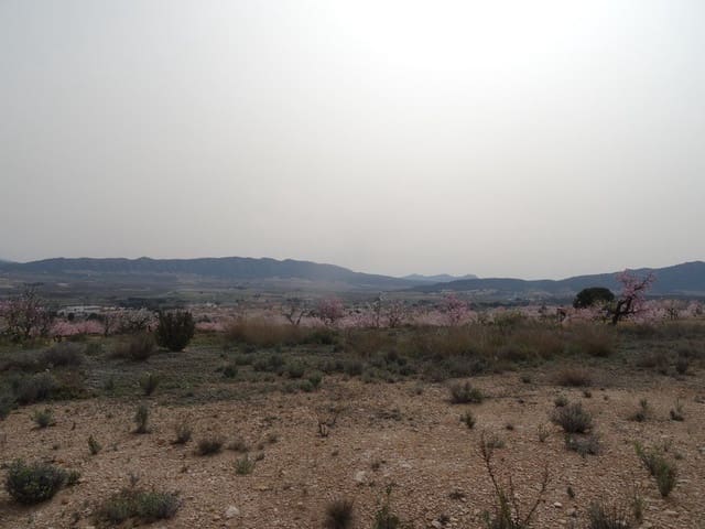 Terreno Non Edificato in vendita in Salinas - 25.000 € (Rif: 3360432)