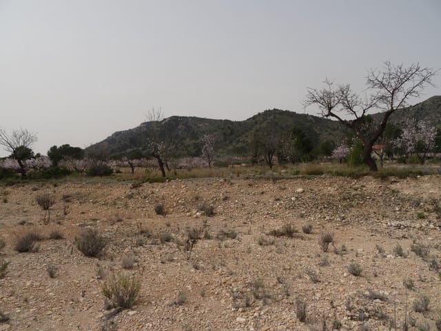 Terreno Non Edificato in vendita in Salinas - 25.000 € (Rif: 3360432)