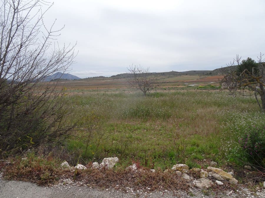 5 slaapkamer Finca/Landhuis te koop in Pinoso met zwembad - € 85.000 (Ref: 3405369)