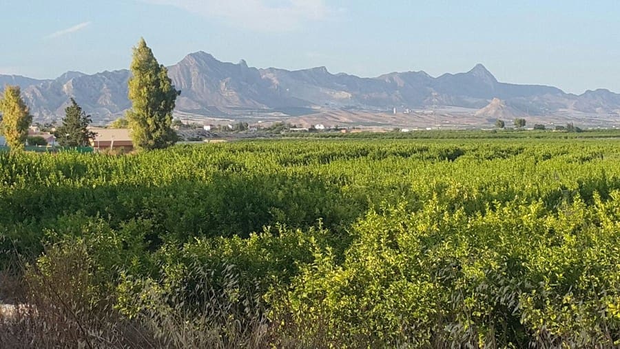 4 sovrum Villa till salu i Fortuna med pool - 249 949 € (Ref: 3436303)