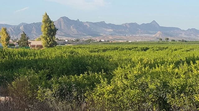 4 sovrum Villa till salu i Fortuna med pool - 249 949 € (Ref: 3436303)