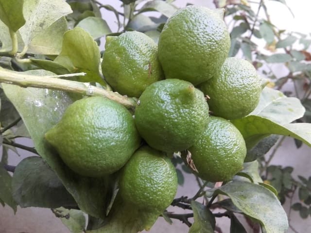 4 sovrum Villa till salu i Fortuna med pool - 249 949 € (Ref: 3436303)