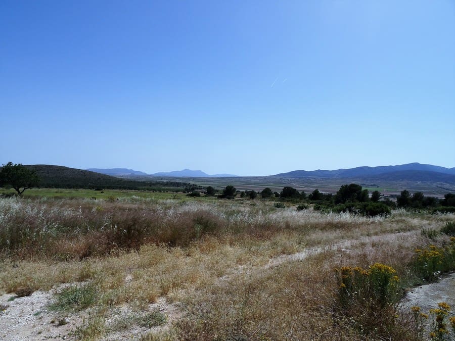 4 bedroom Finca/Country House for sale in Raspay with pool - € 900,000 (Ref: 3465129)