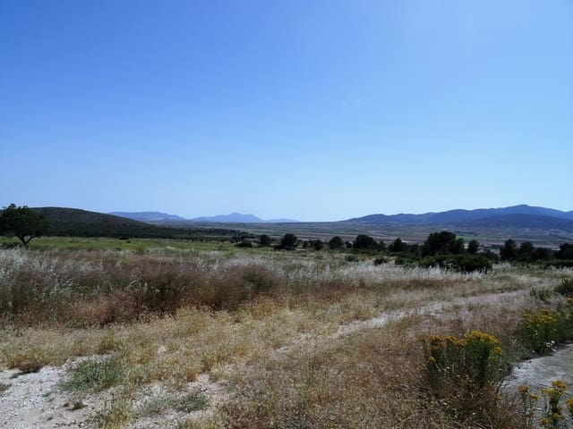 Finca/Casa Rural de 4 habitaciones en Raspay, Yecla en venta con piscina - 900.000 € (Ref: 3465129)