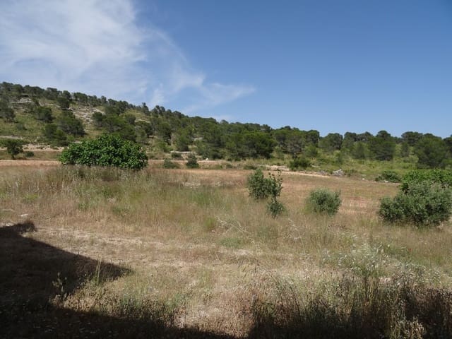 Finca/Casa Rural de 4 habitaciones en Raspay, Yecla en venta con piscina - 900.000 € (Ref: 3465129)