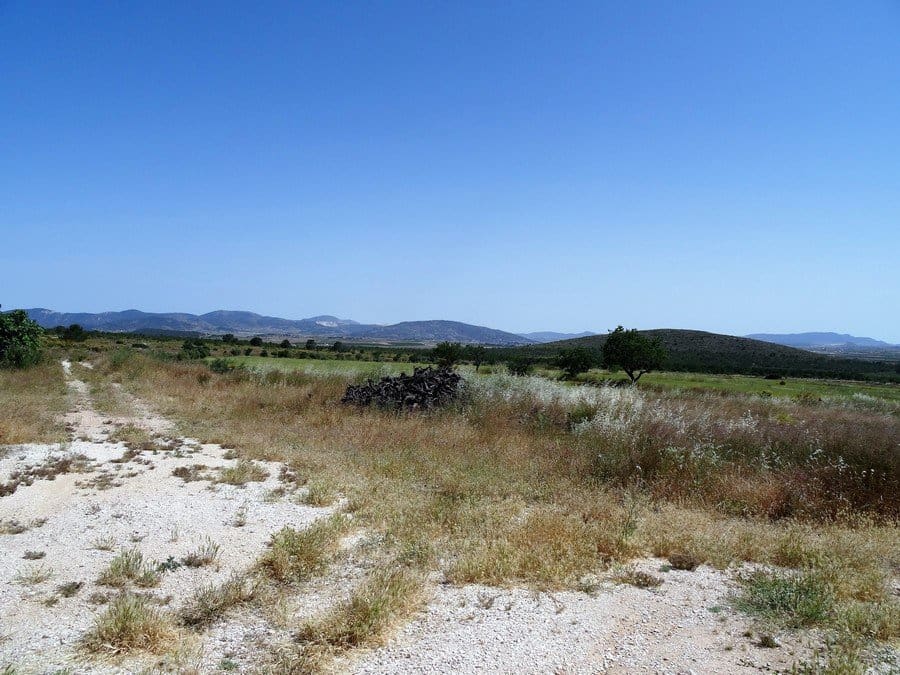 4 bedroom Finca/Country House for sale in Raspay with pool - € 900,000 (Ref: 3465129)