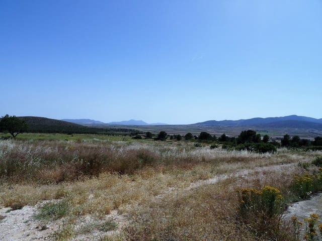 4 quarto Quinta/Casa Rural para venda em Raspay, Yecla com piscina - 900 000 € (Ref: 3465129)