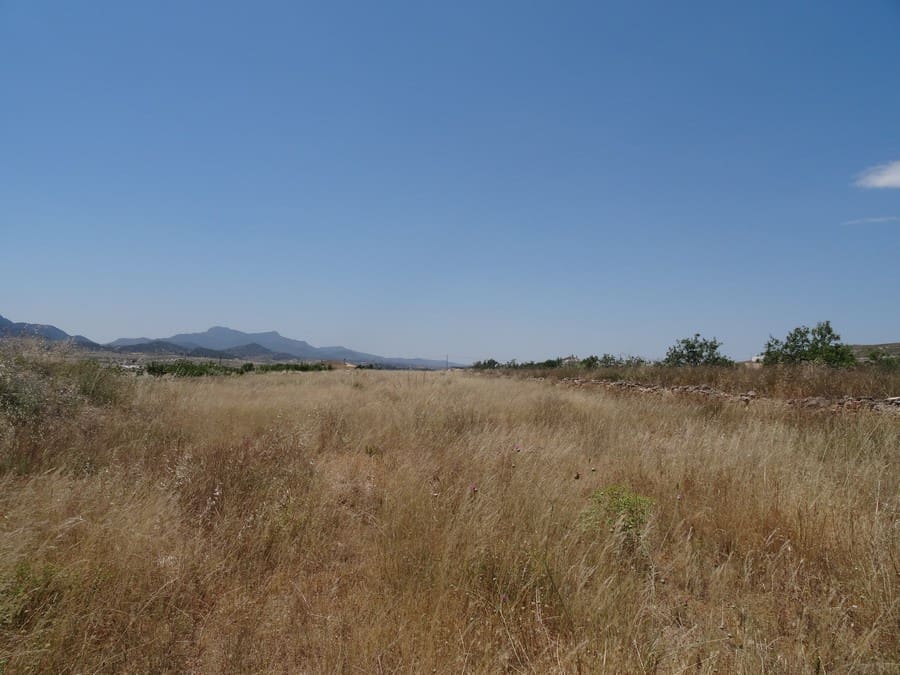 7 bedroom Finca/Country House for sale in Pinoso with pool - € 129,000 (Ref: 3466067)