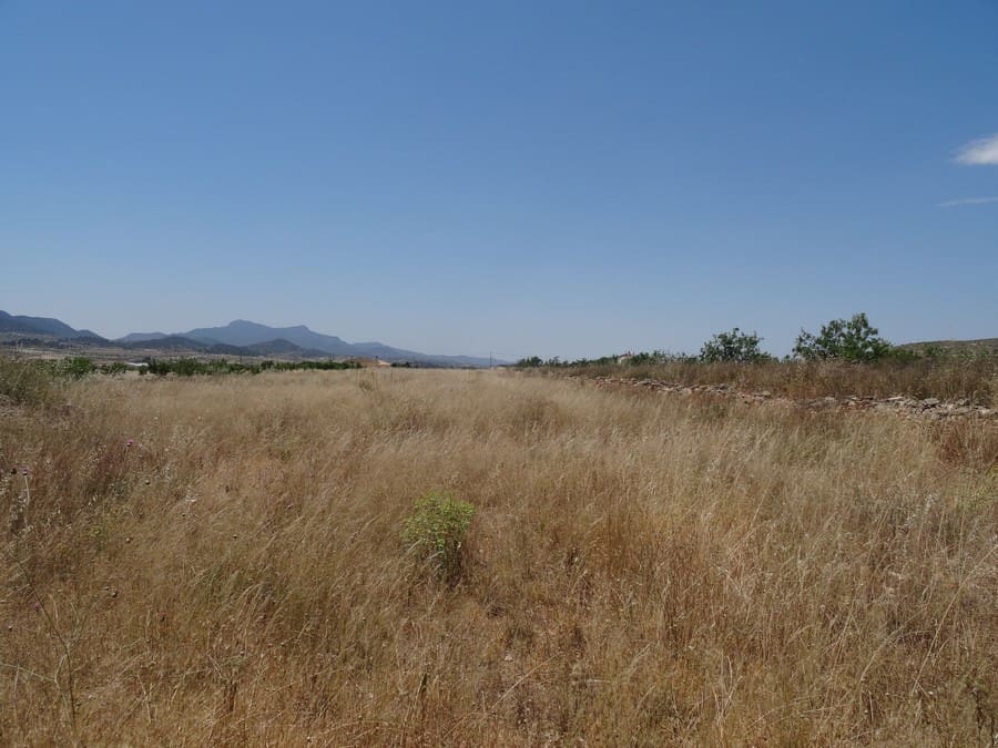 7 bedroom Finca/Country House for sale in Pinoso with pool - € 129,000 (Ref: 3466067)