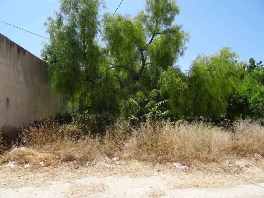 7 bedroom Finca/Country House for sale in Pinoso with pool - € 129,000 (Ref: 3466067)