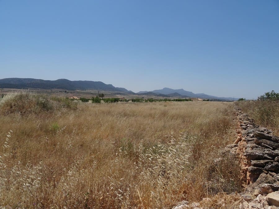 7 bedroom Finca/Country House for sale in Pinoso with pool - € 129,000 (Ref: 3466067)