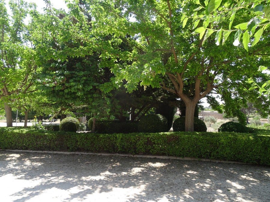 7 quarto Quinta/Casa Rural para venda em Pinoso com piscina - 129 000 € (Ref: 3466067)