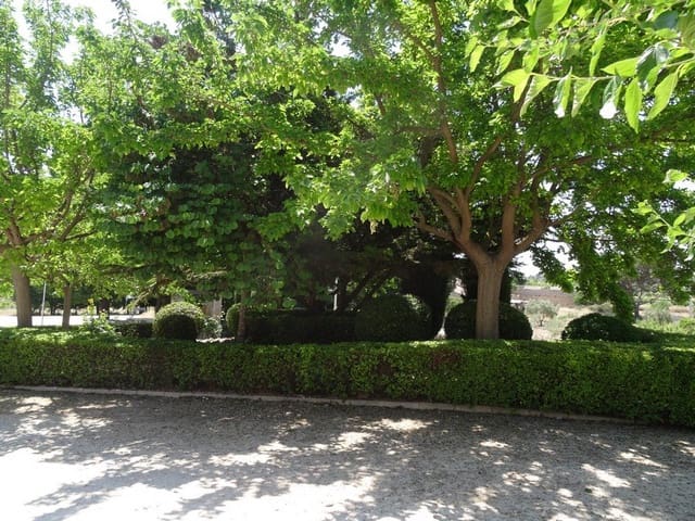 7 quarto Quinta/Casa Rural para venda em Pinoso com piscina - 129 000 € (Ref: 3466067)