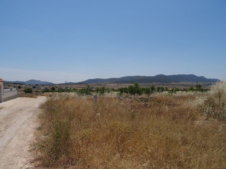 7 quarto Quinta/Casa Rural para venda em Pinoso com piscina - 129 000 € (Ref: 3466067)