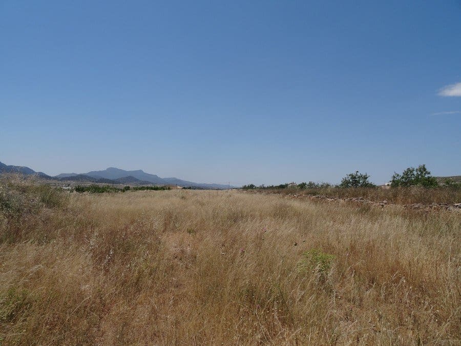 7 quarto Quinta/Casa Rural para venda em Pinoso com piscina - 129 000 € (Ref: 3466067)