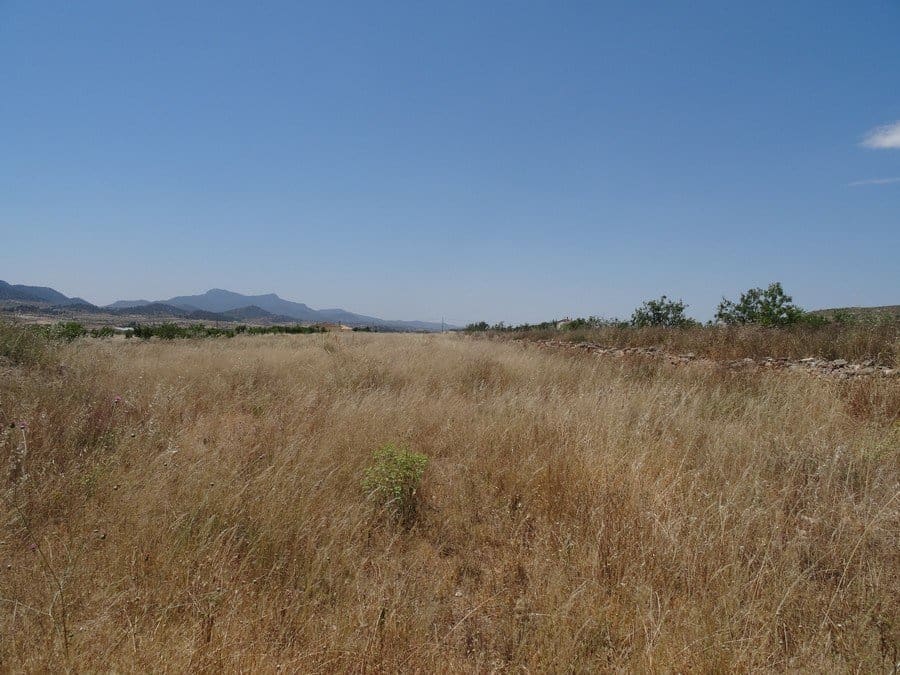 7 quarto Quinta/Casa Rural para venda em Pinoso com piscina - 129 000 € (Ref: 3466067)