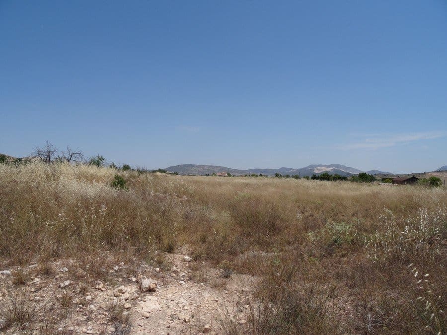 7 quarto Quinta/Casa Rural para venda em Pinoso com piscina - 129 000 € (Ref: 3466067)