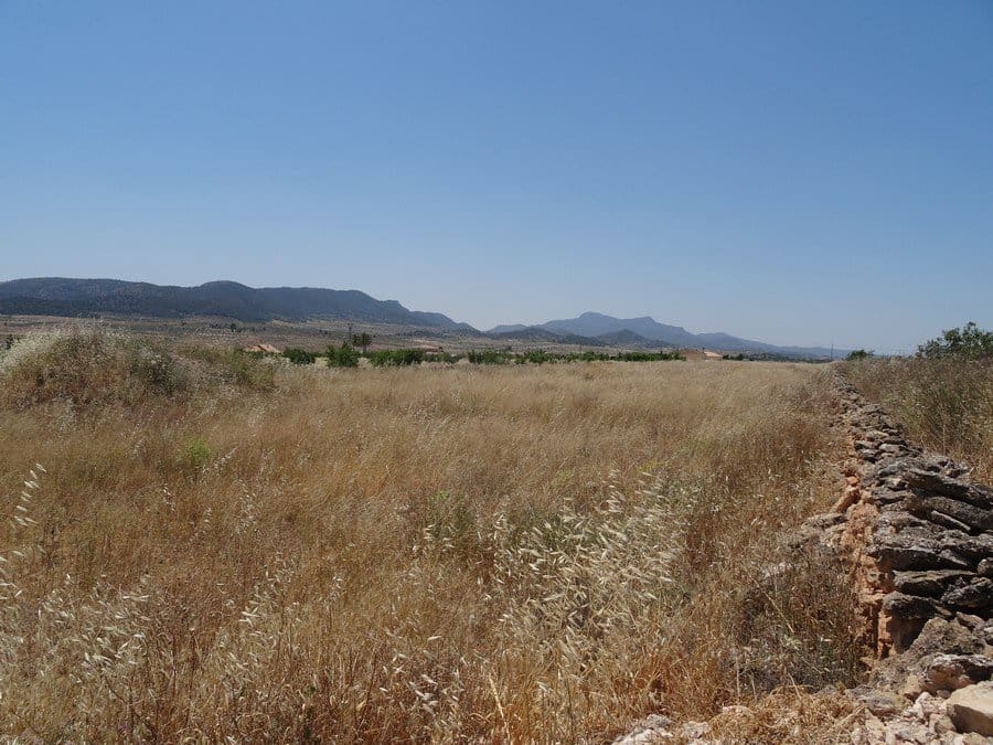 7 quarto Quinta/Casa Rural para venda em Pinoso com piscina - 129 000 € (Ref: 3466067)