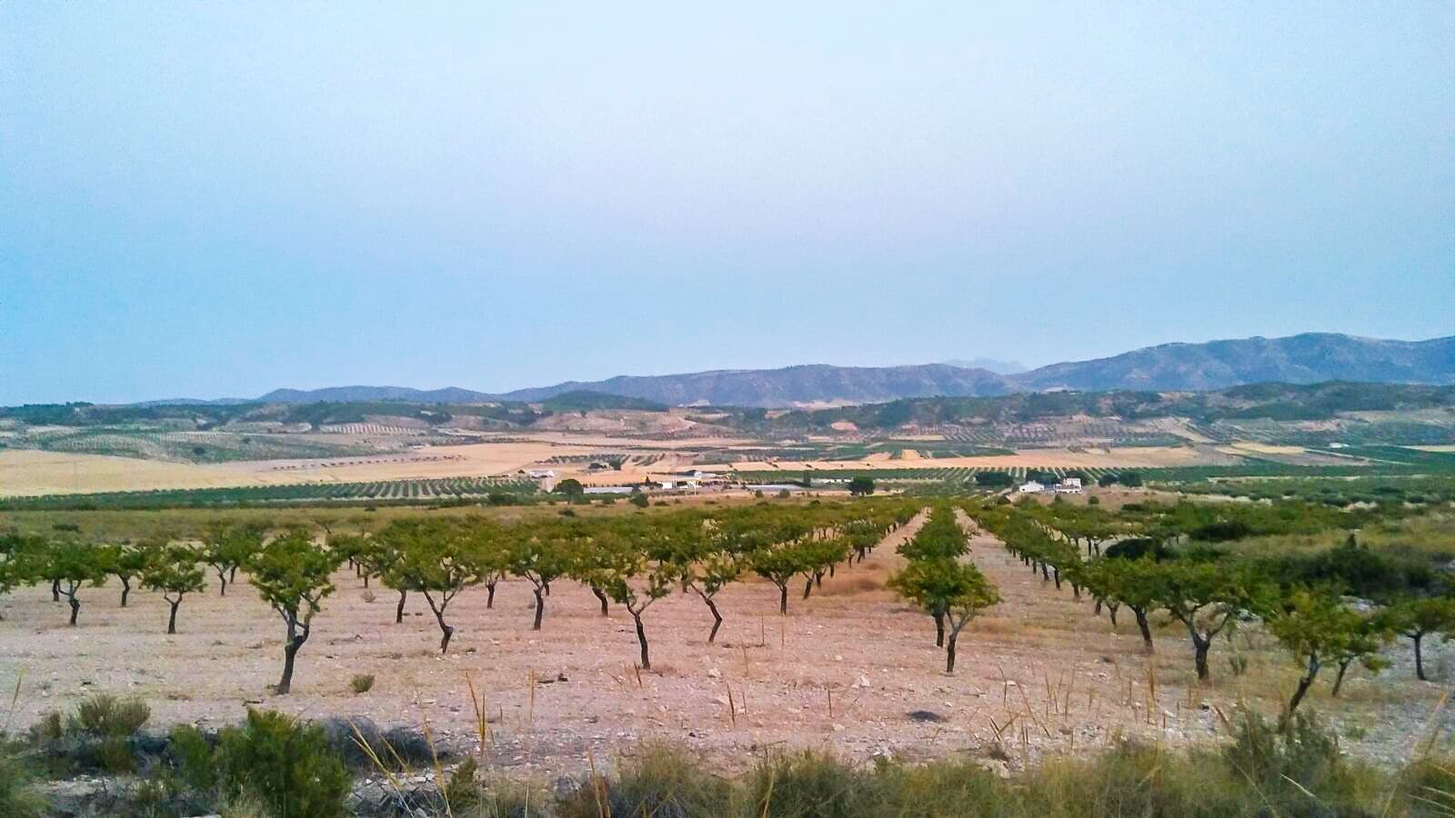 Grunde uden byggetilladelser til salg i Jumilla - € 32.000 (Ref: 3539519)