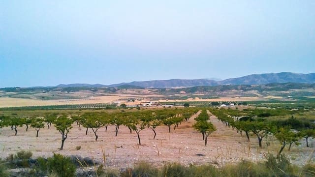 Grond te koop in Jumilla - € 32.000 (Ref: 3539519)