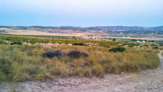 Grond te koop in Jumilla - € 32.000 (Ref: 3539519)