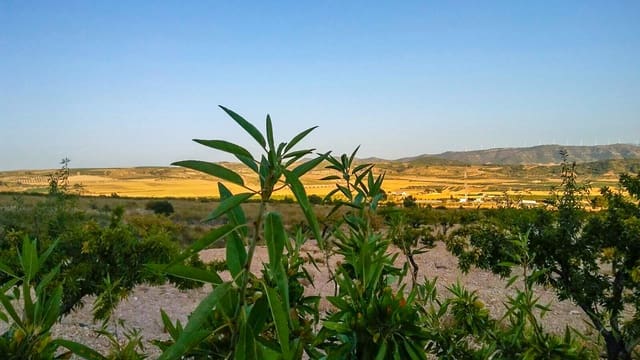 Grond te koop in Jumilla - € 32.000 (Ref: 3539519)