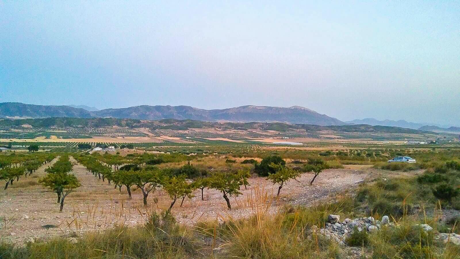 Undeveloped Land for sale in Jumilla - € 25,000 (Ref: 3539519)