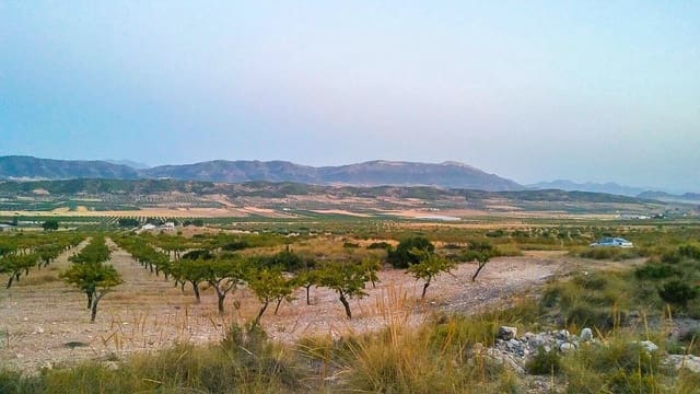 Terreno Não Urbanizado para venda em Jumilla - 25 000 € (Ref: 3539519)