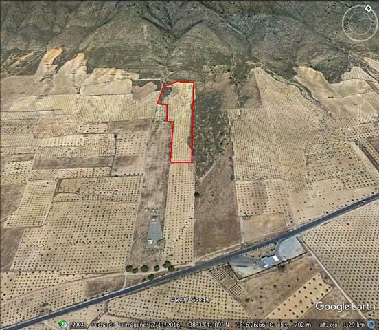 Terreno Não Urbanizado para venda em Jumilla - 25 000 € (Ref: 3539519)